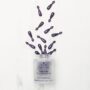 RICH Pure Luxury Miracle Renew Keratin Oil 70 ml ÕLID JA SEERUMID